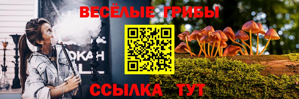 Псилоцибиновые грибы мухоморы Ивантеевка